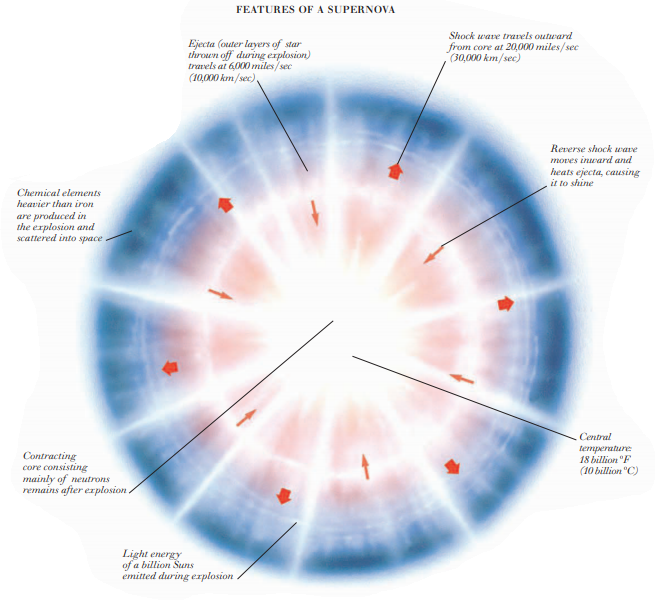 FEATURES OF A SUPERNOVA