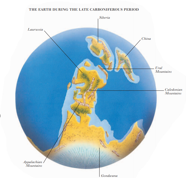 THE EARTH DURING THE LATE CARBONIFEROUS PERIOD