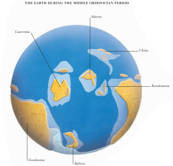 THE EARTH DURING THE MIDDLE ORDOVICIAN PERIOD