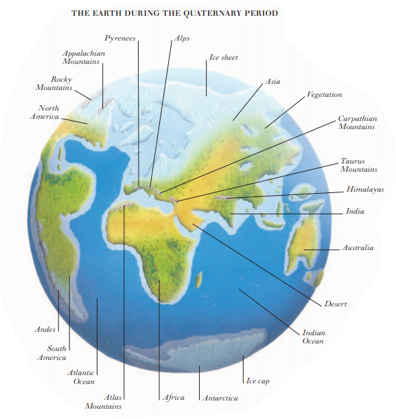 THE EARTH DURING THE QUATERNARY PERIOD