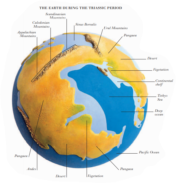 THE EARTH DURING THE TRIASSIC PERIOD